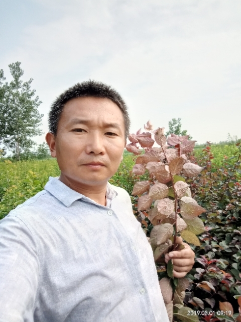 孩子爸的第二张照片--邢台相亲服务中心