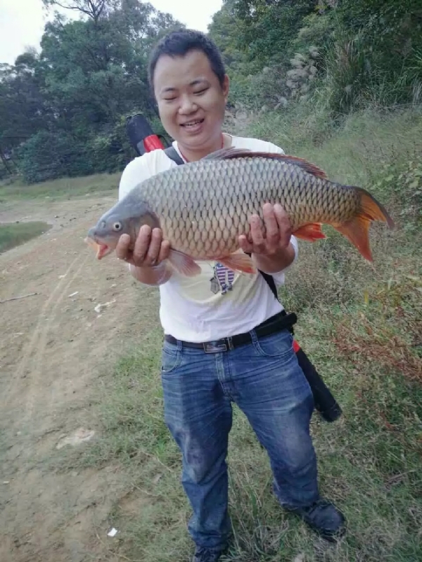 迷路的男人的第一张照片--邢台相亲服务中心